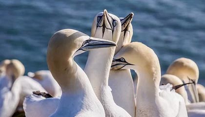 九游娱乐官方平台-中国队蛙泳调整不够理想，中国蛙泳冠军是谁