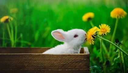 九游娱乐官方平台-中国队蛙泳调整不够理想，中国蛙泳冠军是谁