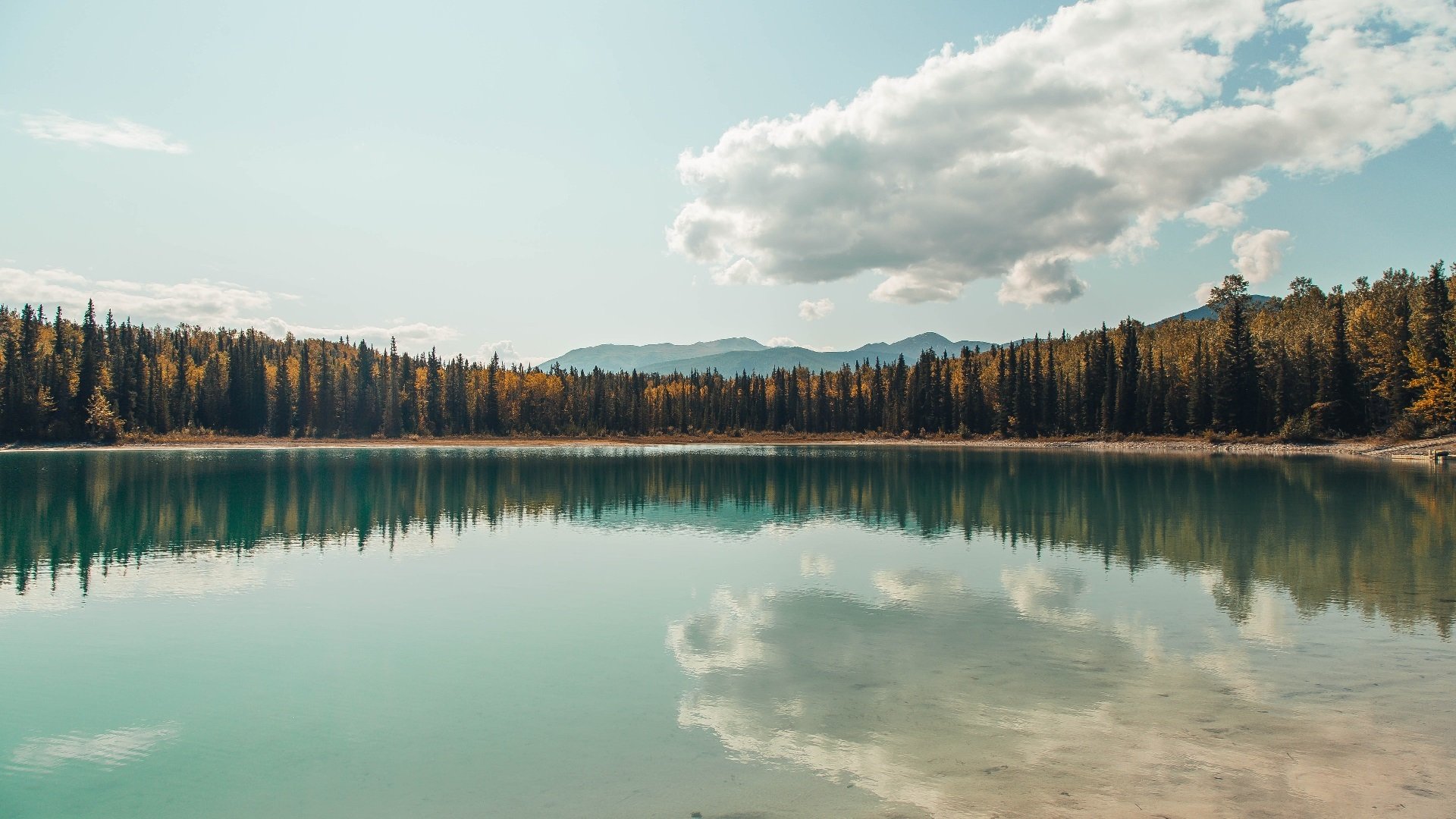 九游(jiuyou.com)游戏-_奇才队展现坚韧精神,迎来关键比拼_,奇才队队员