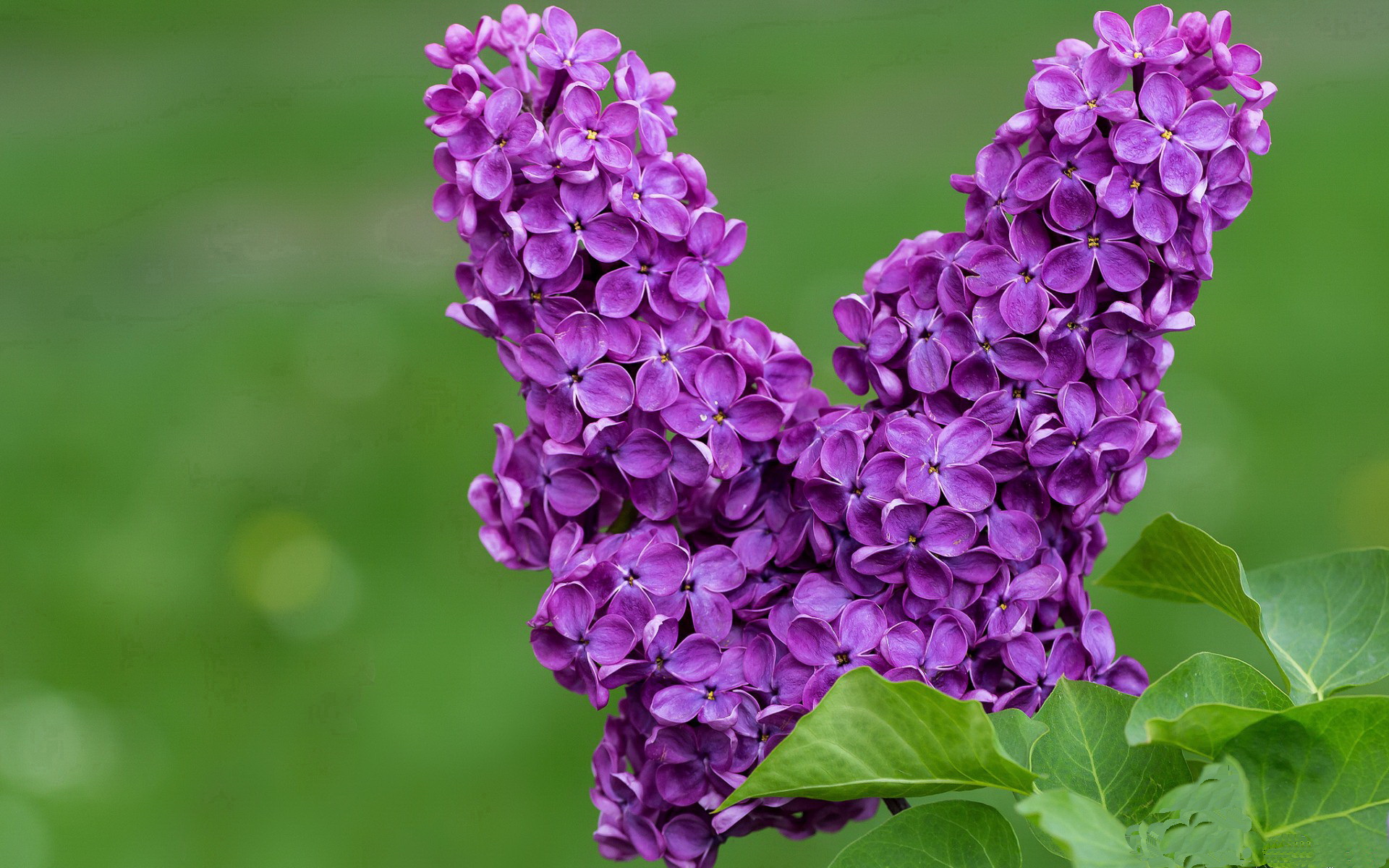 九游-_观众互动：现场投票决定精彩比赛瞬间_，比赛现场投票系统