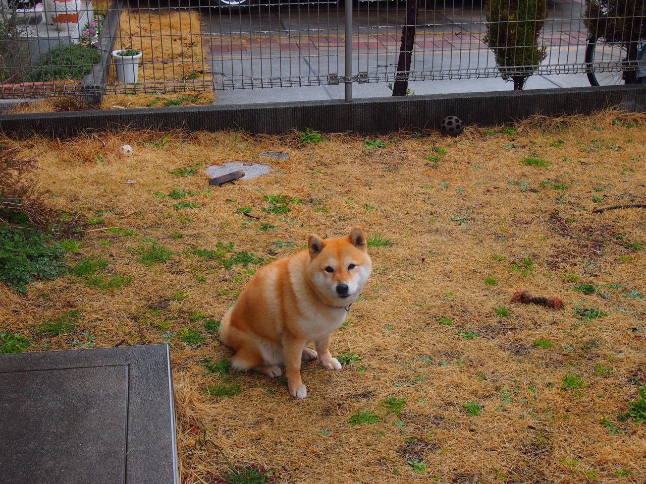 【实战训练】比赛模拟提高战略应变能力的训练方案，比赛战略战术