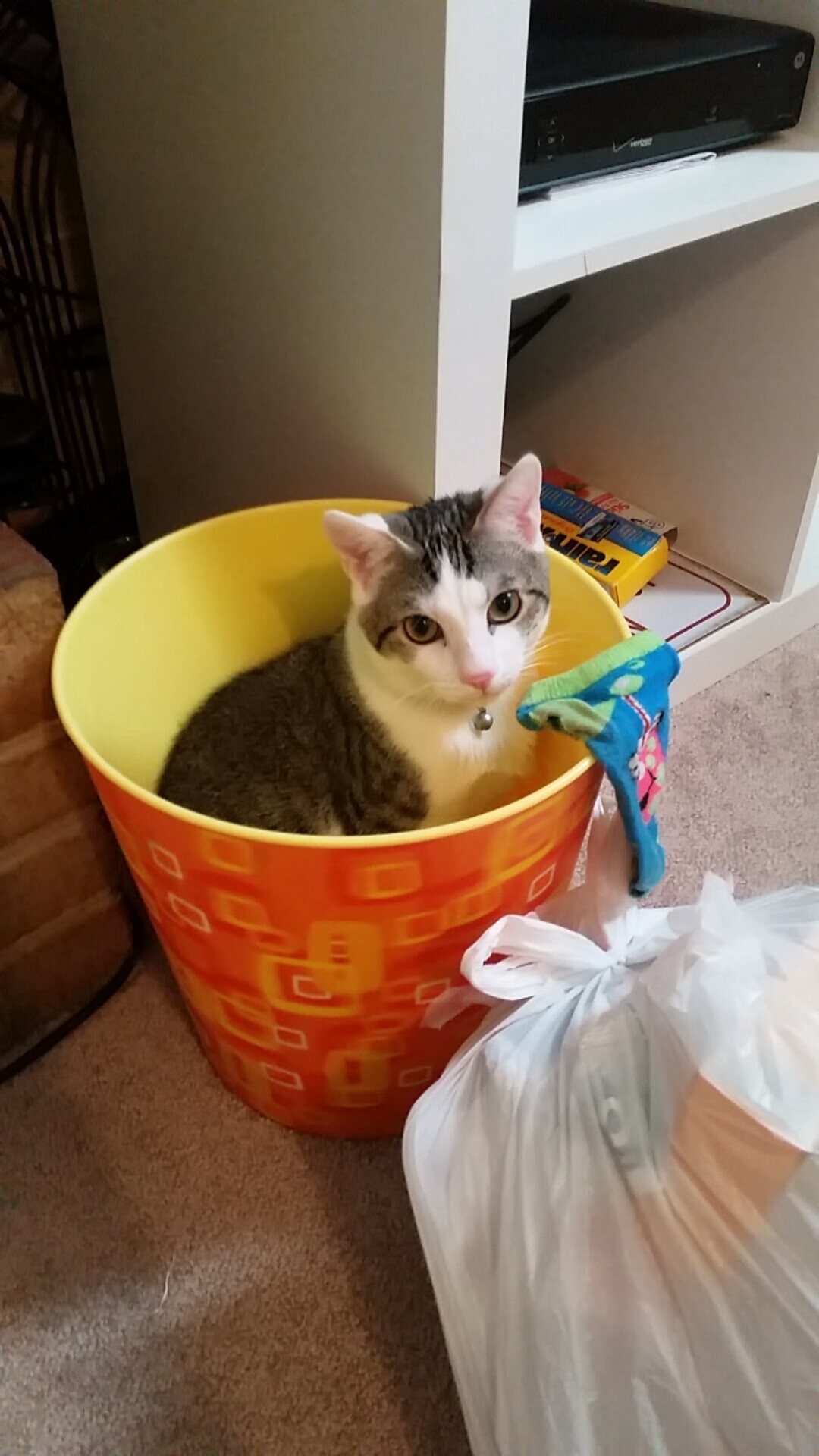 九游网页版入口-上海海港发布新赛季球衣设计引热议，2021赛季上海海港最新球衣