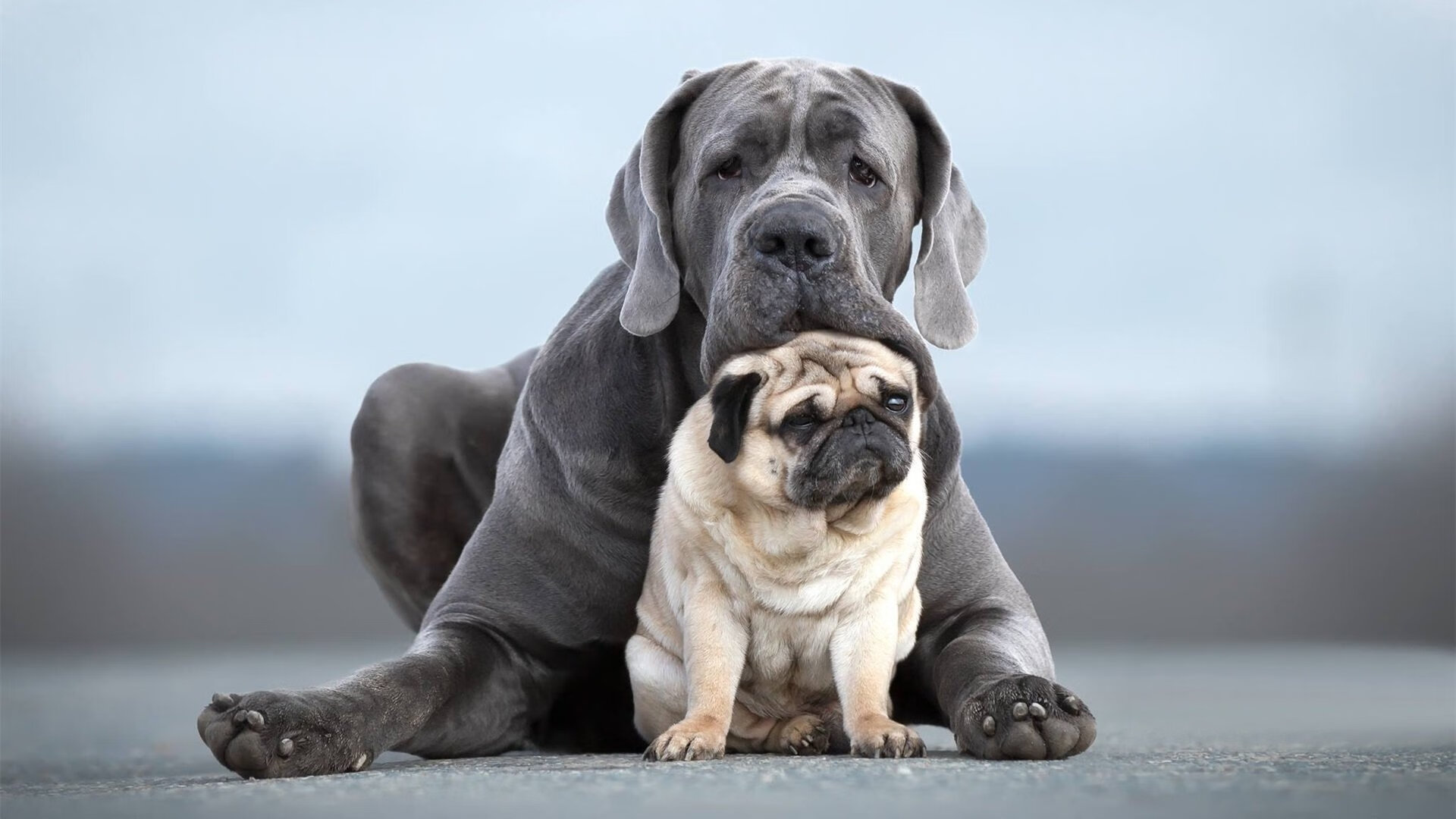 全场焦点：那些让对手闻风丧胆的实力射手，比较强的射手