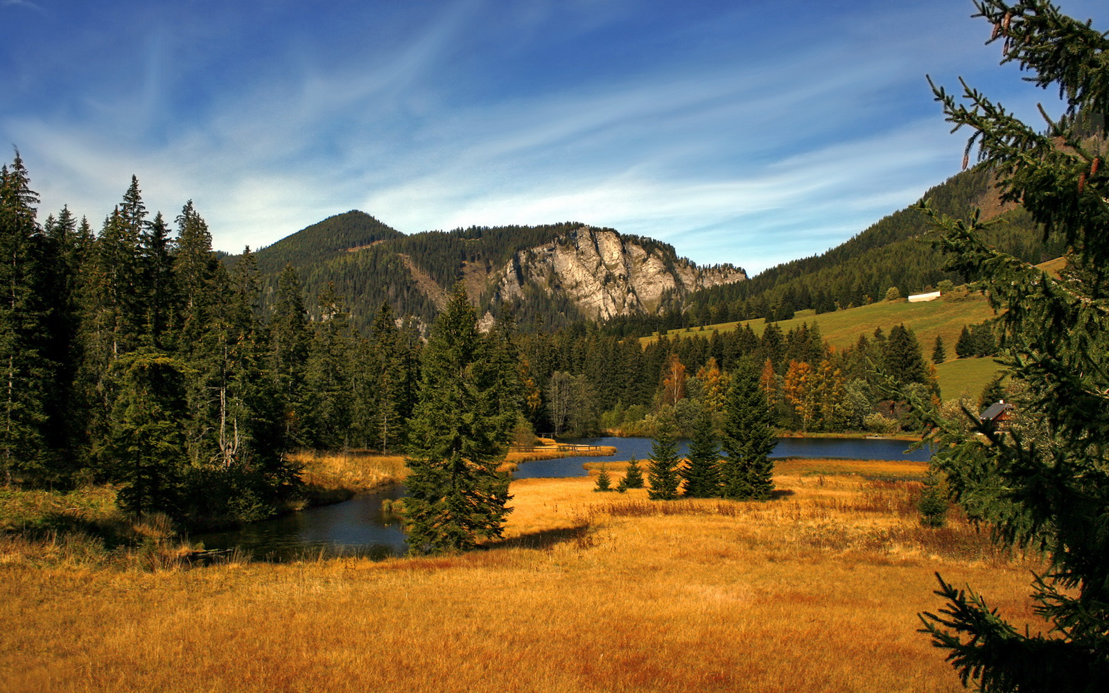 九游sports-创新科技大揭秘：装备助力WRC车手冲刺巅峰，wrc车手是怎样培训的