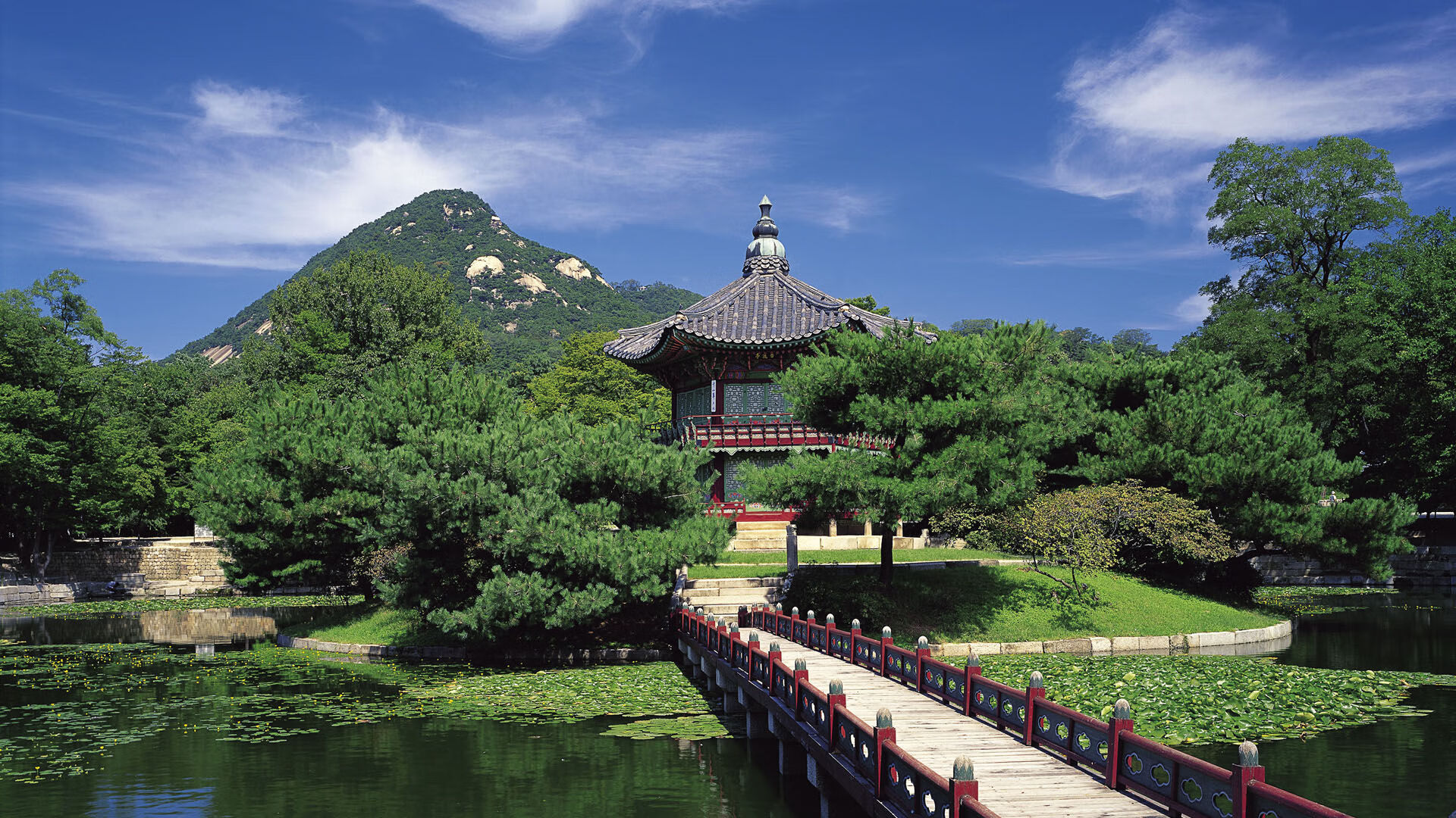 九游娱乐官网 (JIUYOU)-欧冠“黑马”崛起记：逆风而行的壮丽史诗，欧冠十大黑马球队