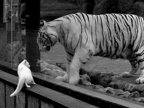 九游9游-篮球公益训练营走进农村学校，公益篮球培训