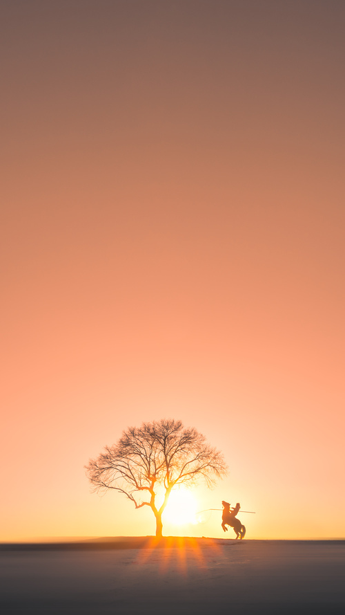 CBA球队数据分析应用，cba数据分析招聘