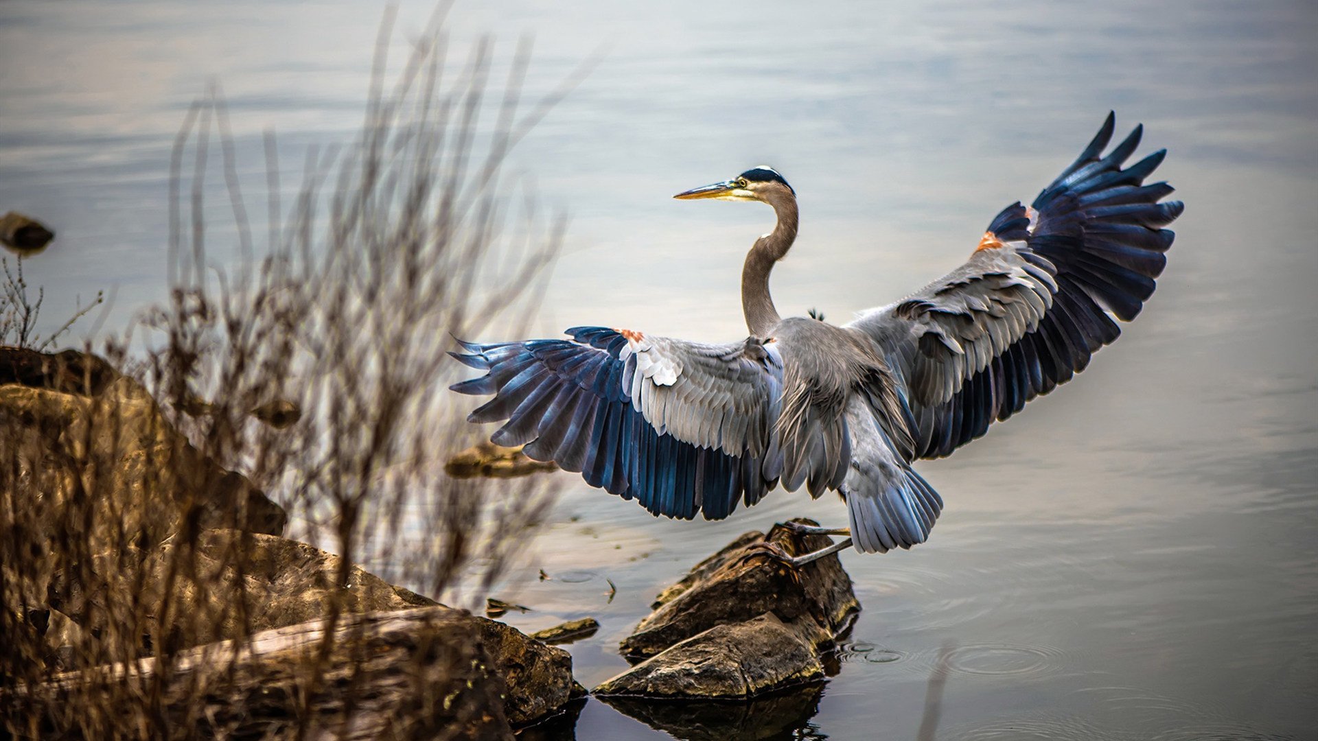 G联赛MVP候选人名单公布，g联赛视频
