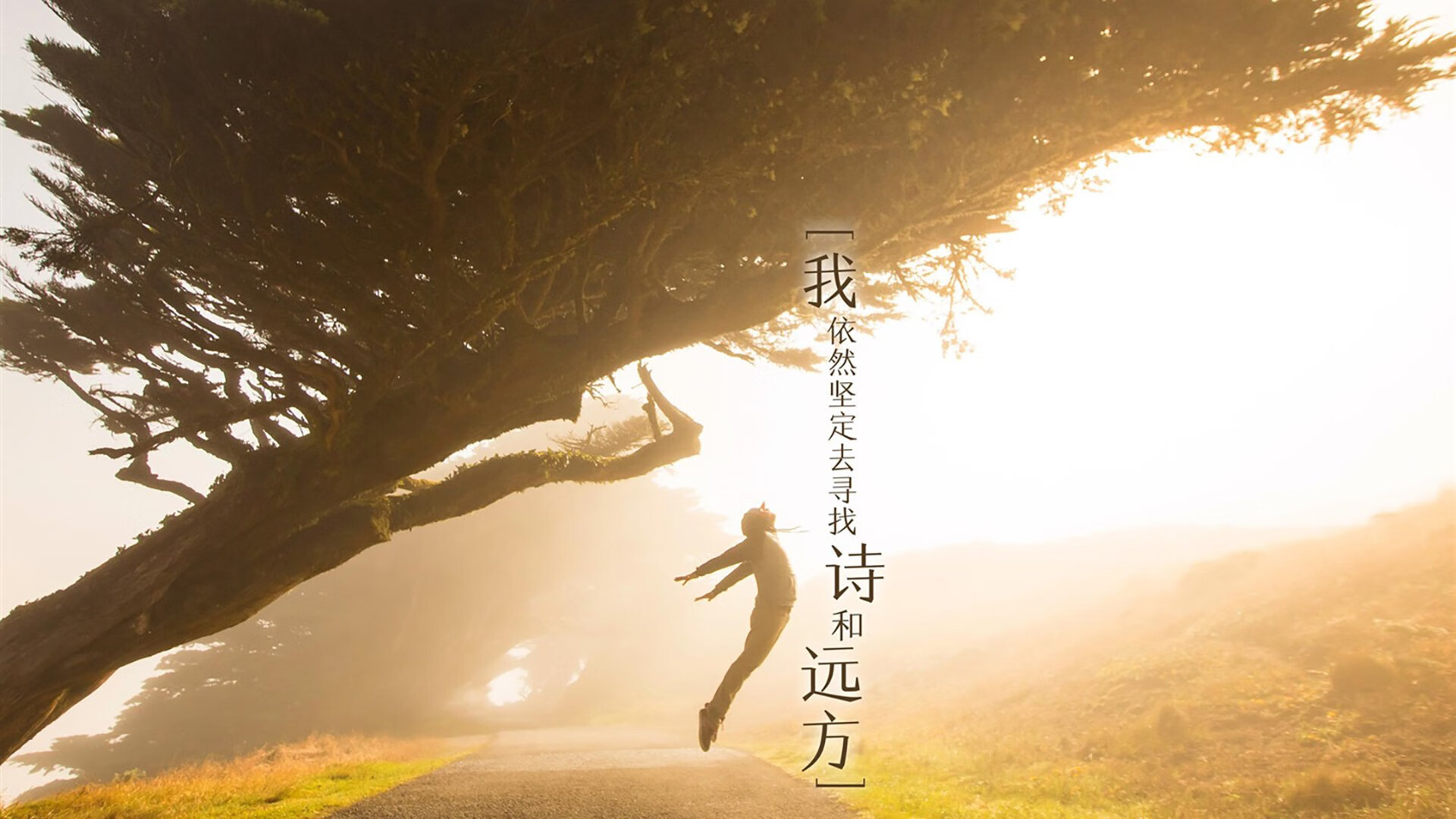 众星捧足球巨头：国际足球大赛势不可挡，足球国际大型赛事