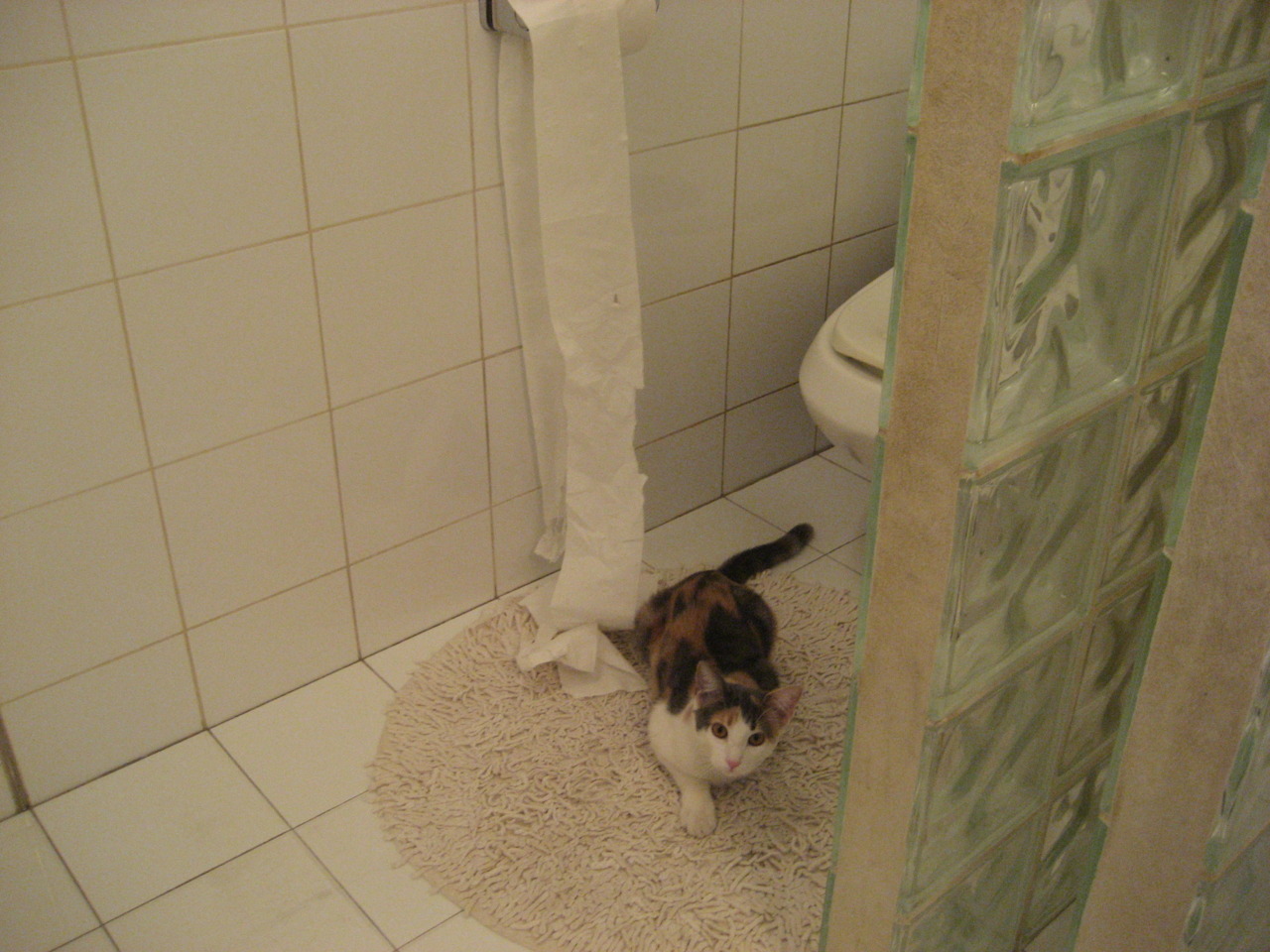 巴塞罗那再度展现强大实力，积分榜上继续紧追领先者，巴塞罗那厉害吗