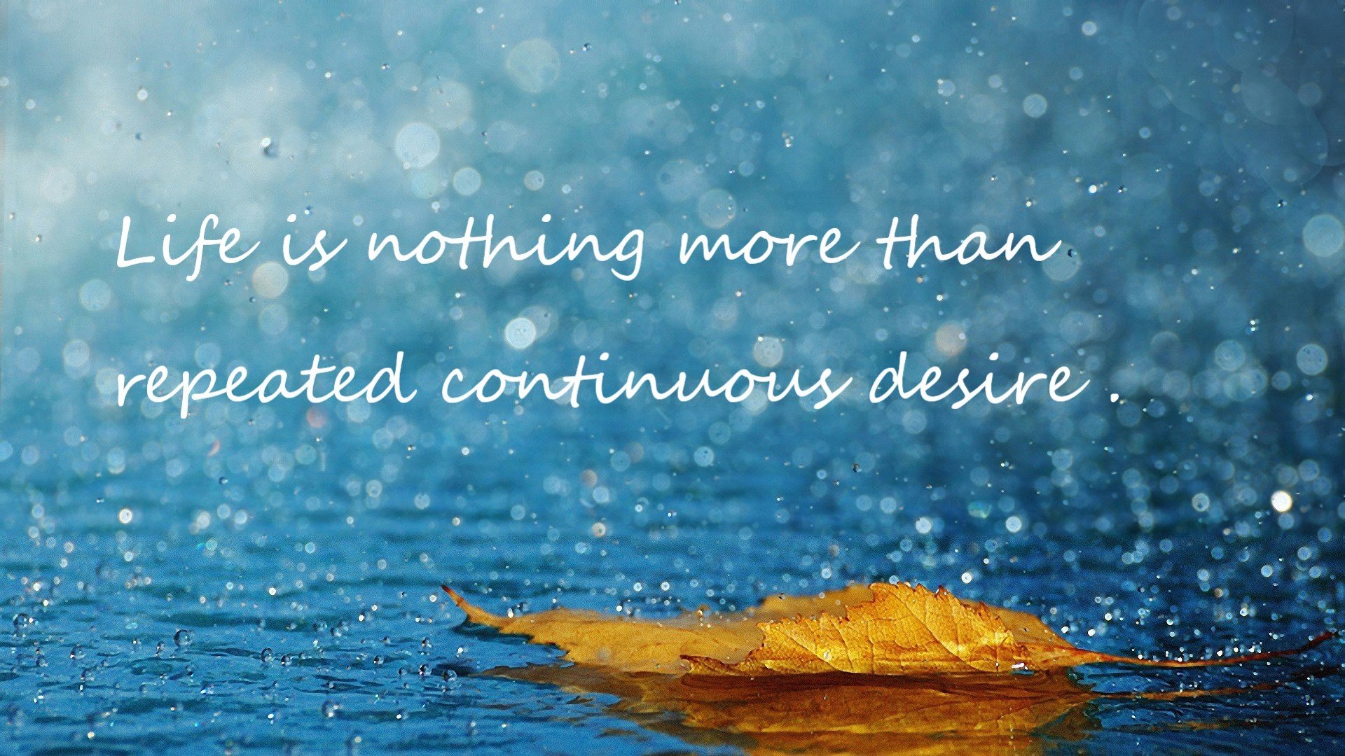 曼联2-1纽卡斯尔,主场取胜,曼联队纽卡斯尔联直播