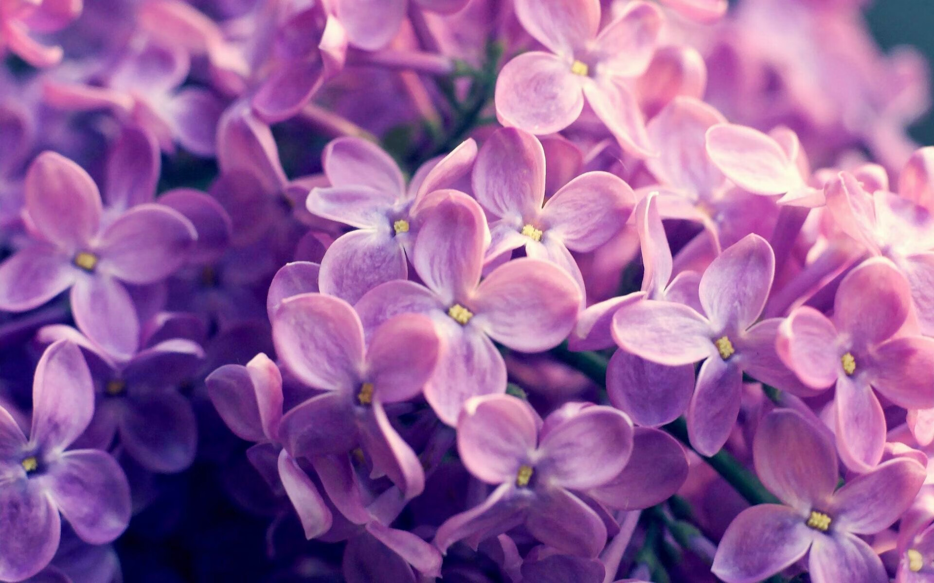 九游-波尔图年轻球员对阵葡萄牙体育，波尔图队史球星