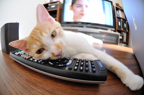 -福建男篮近期连败，球队面临困境，福建男篮新动态