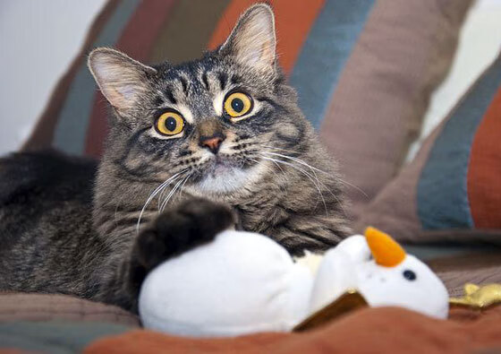 九游登录入口-老鹰队独特训练方法 激发球员潜能，老鹰队强不强