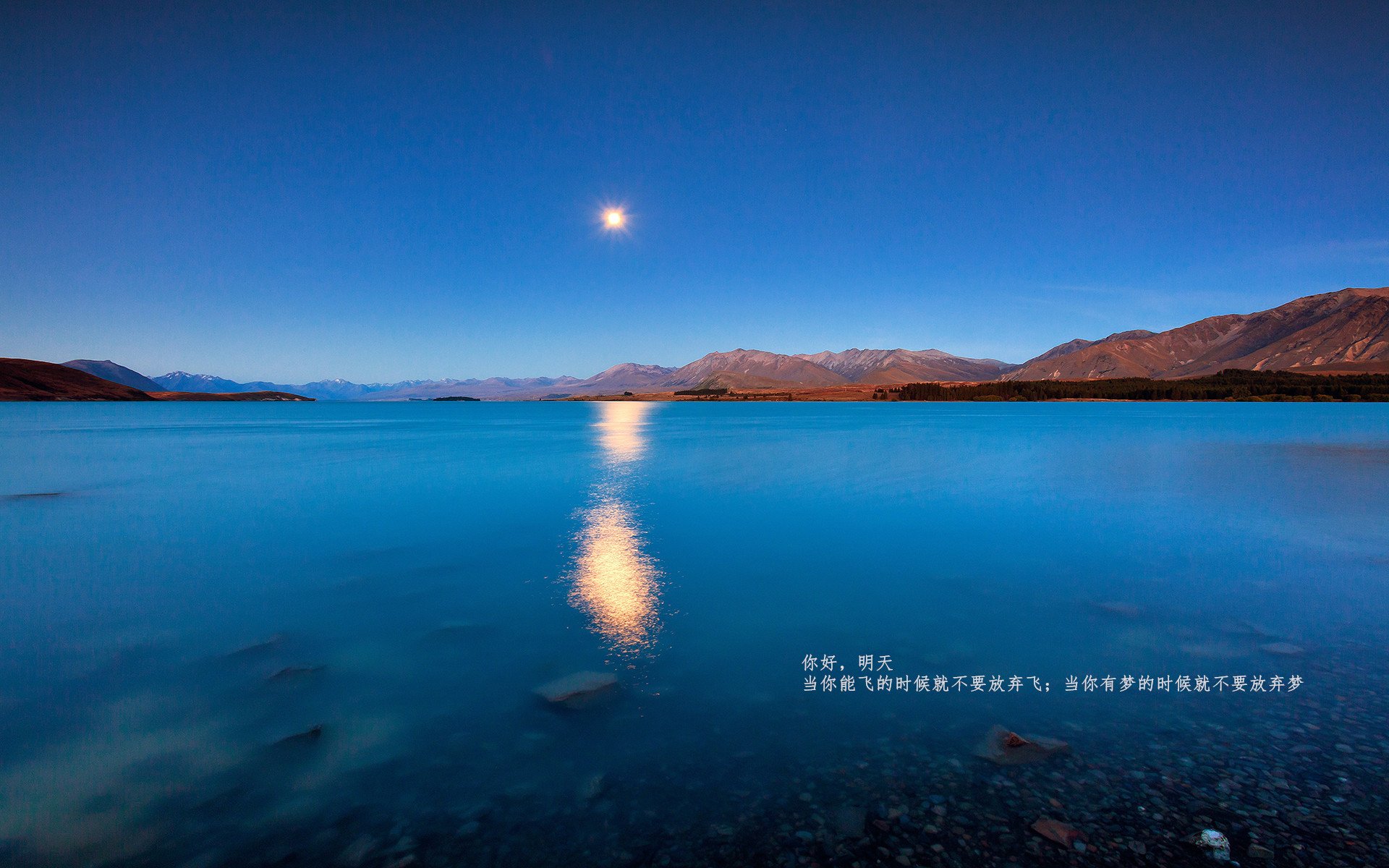 JIU YOU GAME-莱比锡红牛胜券在握，已连续三轮不败，莱比锡红牛实力如何_