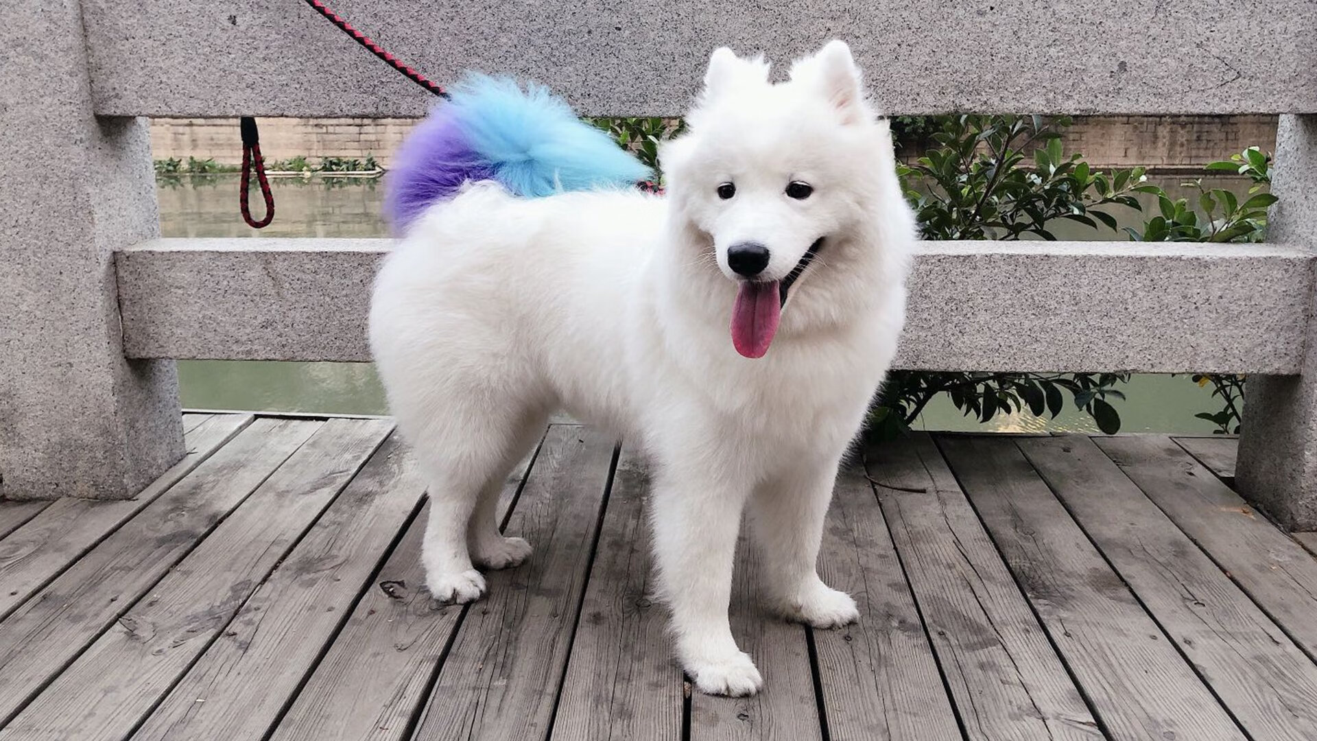 阿尔阿赫利球员进攻多样化，艾尔阿赫利