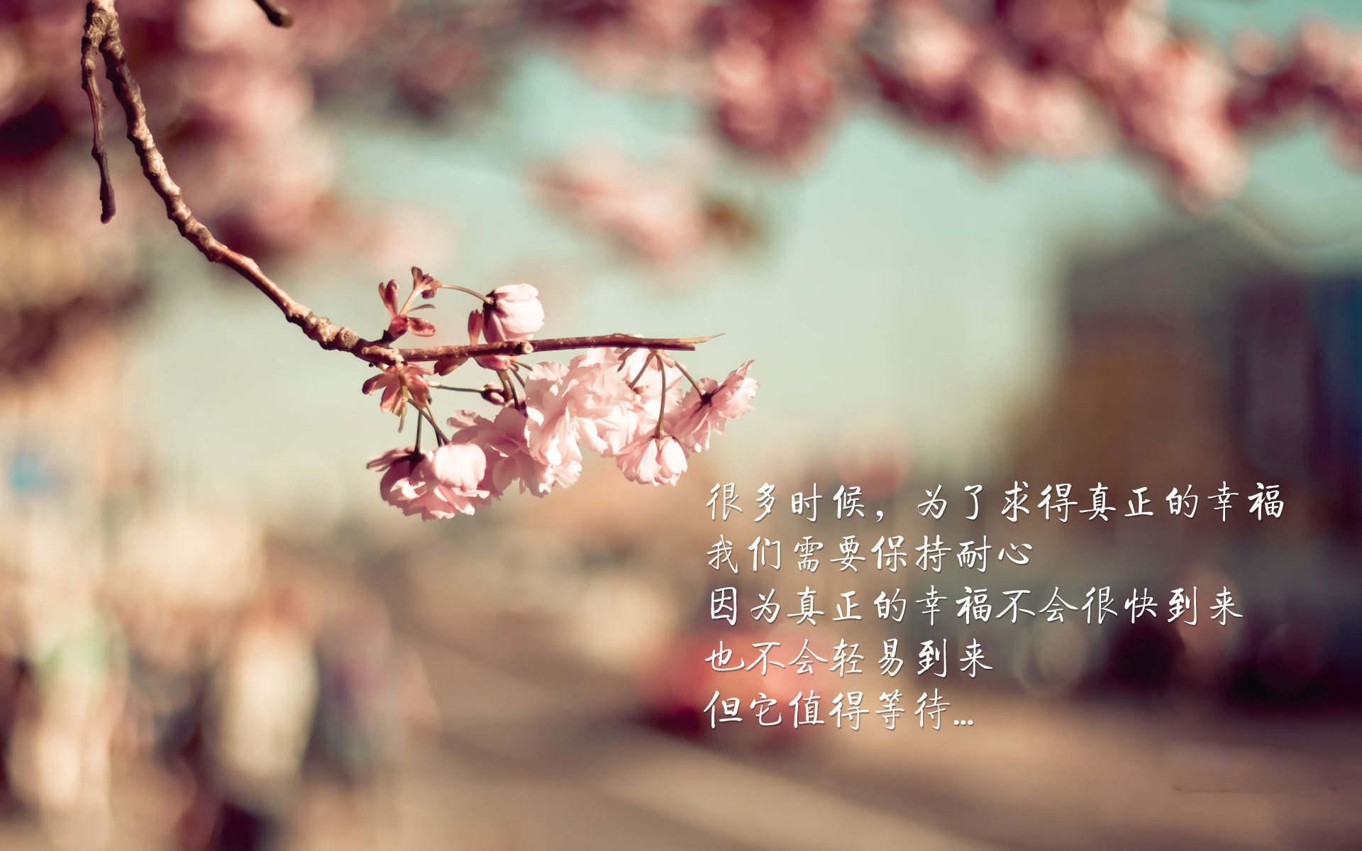 -NBA赛季投篮效率数据分析，nba投篮比赛