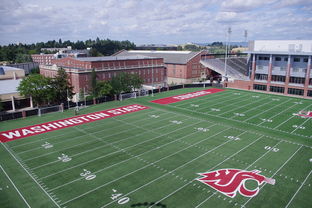 Jiu You-篮球专项体能训练监测技术及应用实践，篮球项目的体能训练方法