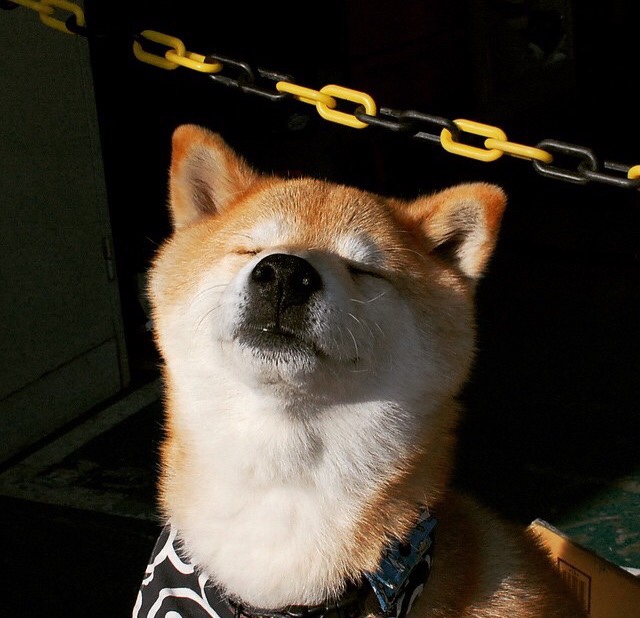 -高校体育课程体系优化研究报告，高校体育课程标准