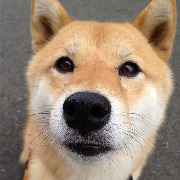 青少年体育运动安全保障机制构建，青少年体育管理体制