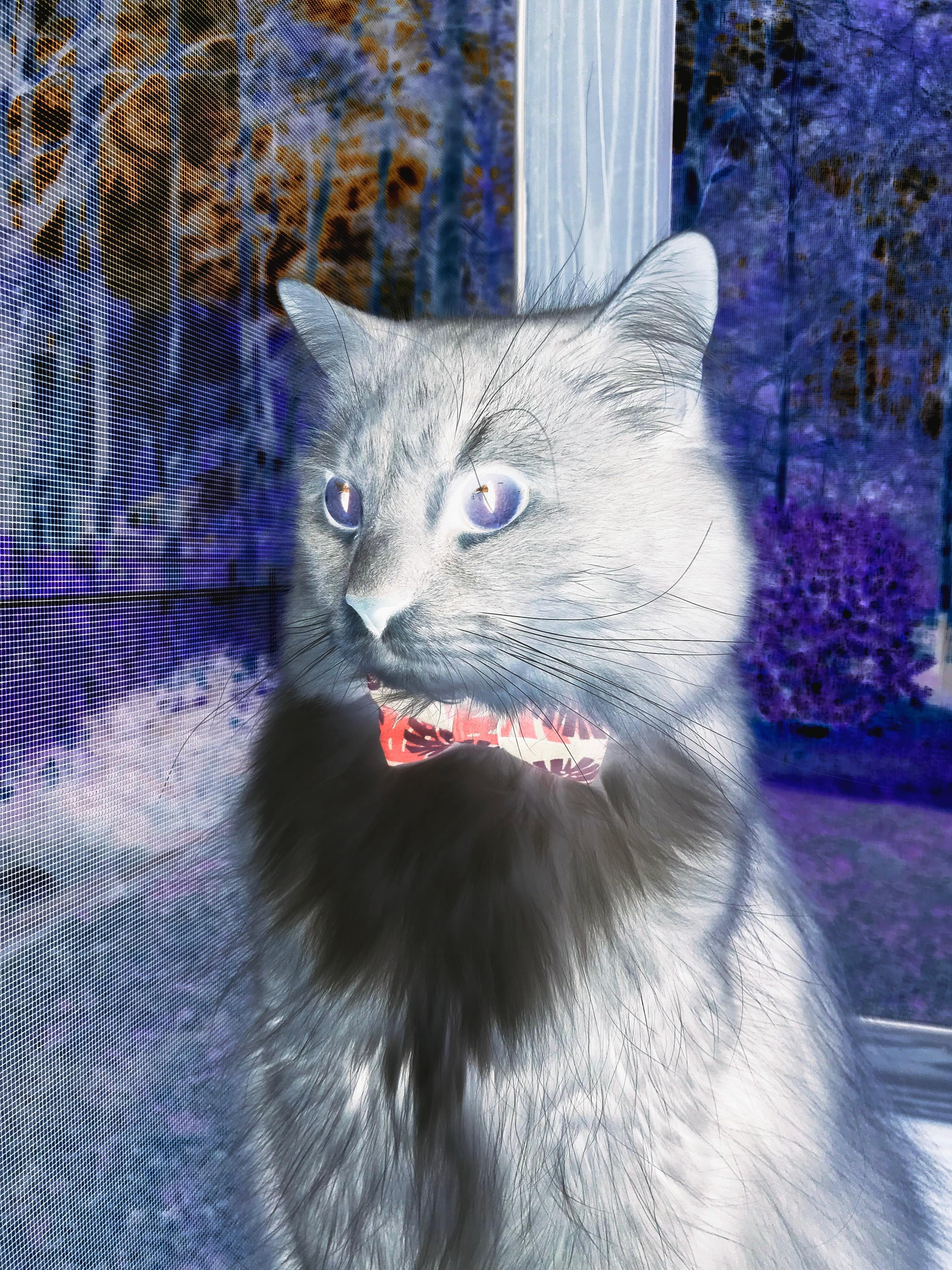 CBA联盟启动篮球教学合作计划连接校园资源,cba训练篮球