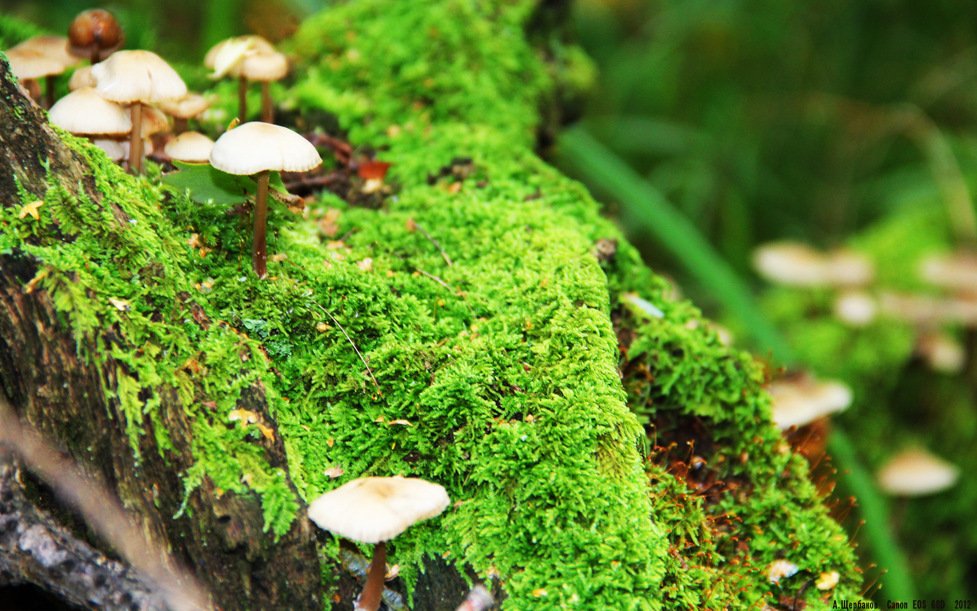 中乙联赛推出赛后教练复盘公开课传播技战术理念，中乙联赛球员什么水平