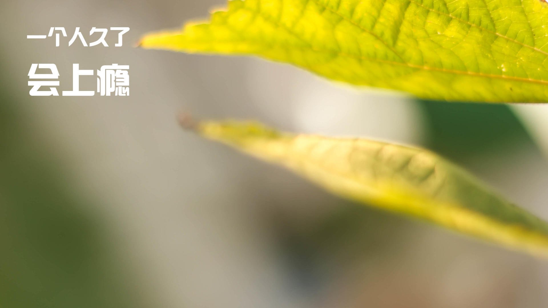 九游游戏中心官网-足球基础设施建设覆盖率显著提高重点支持农村地区，41个全国社会足球场地设施建设专项行动重点推进城市