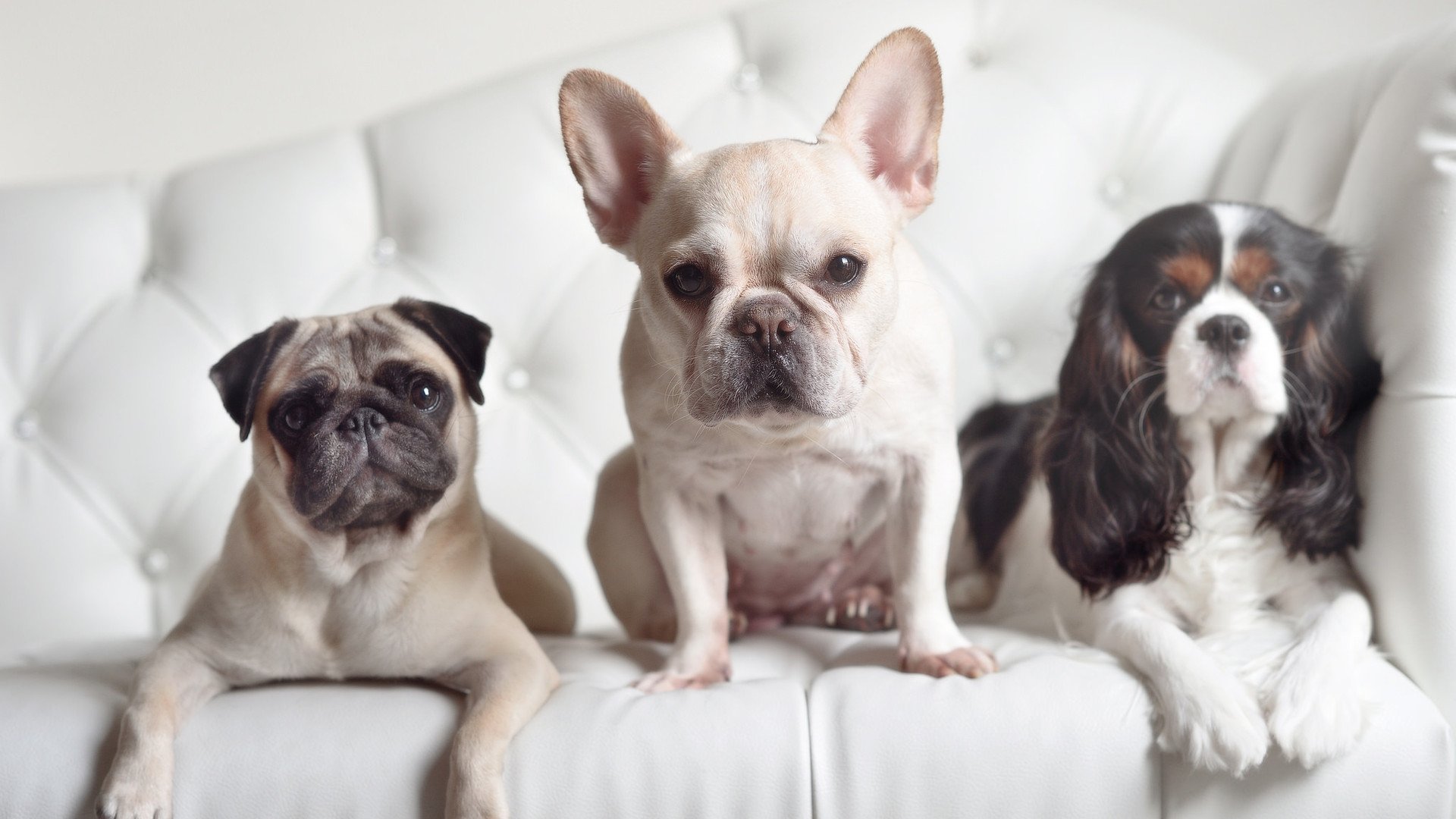 骑士新秀谈首次出场称全靠团队支持,骑士新秀2020